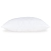 Sierra Sleep Zephyr 2.0 Huggable Comfort Pillow (4/Cs)