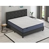 Sherwood Bedding Sunrise II Firm Tight Top Sunrise II Firm Ca King Mattress