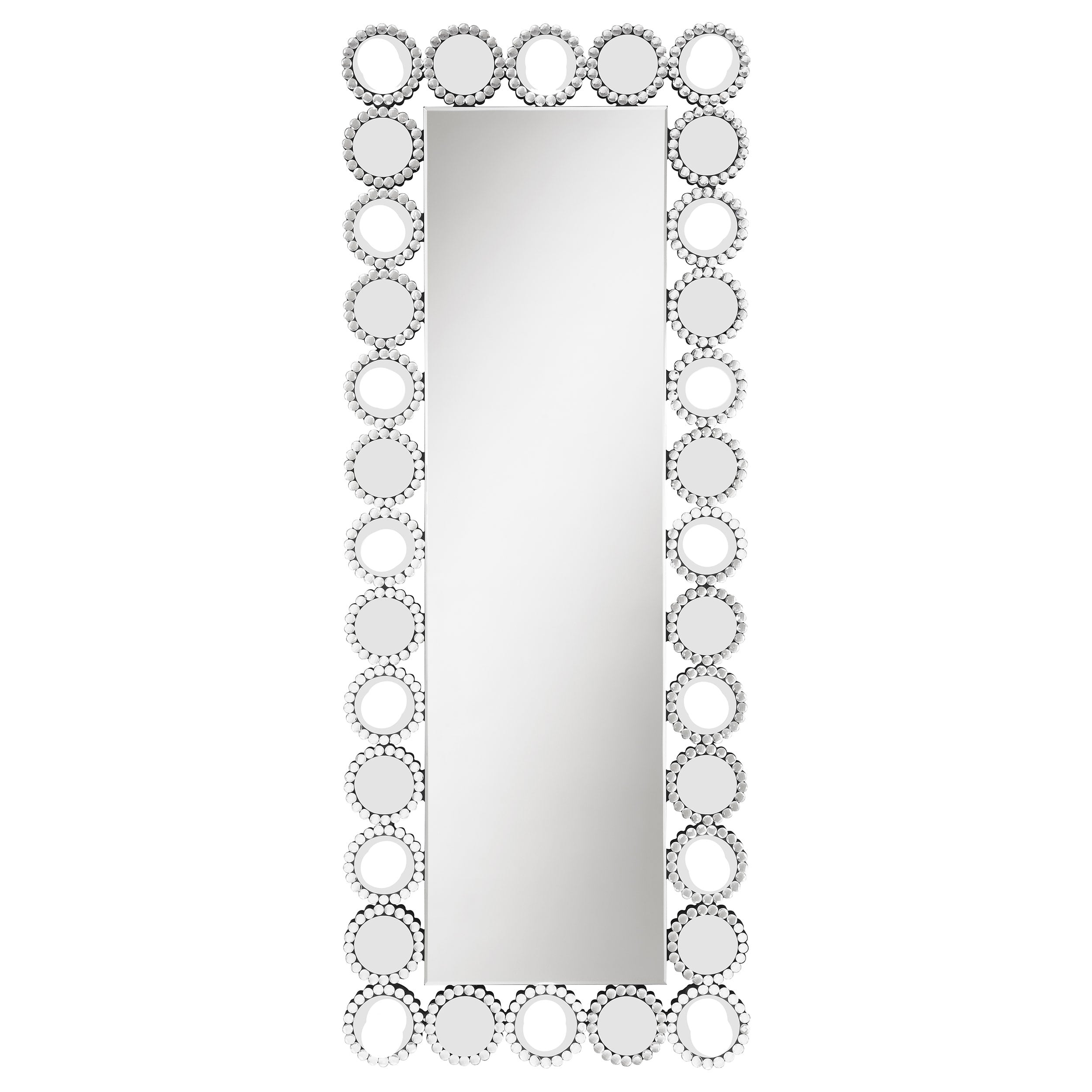 Aghes 24 x 62 Inch Wall Mirror w/ing