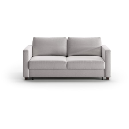 Queen Loveseat Sleeper