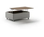 Luonto Functional Lift-Top Coffee Table w/Locking Casters