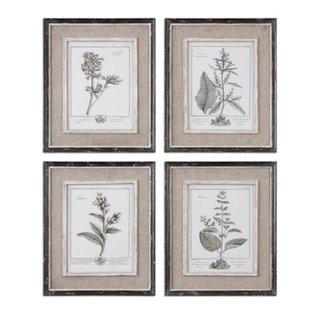 Casual Grey Study Framed Prints, S/4