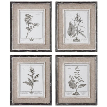 Casual Grey Study Framed Prints, S/4