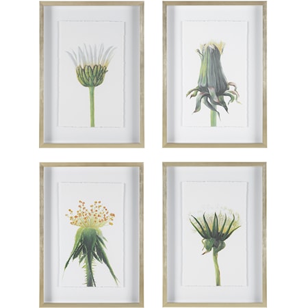 Wildflowers Gold Framed Prints, S/4