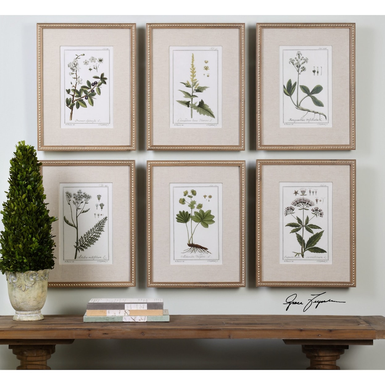 Uttermost Framed Prints Green Floral Botanical Study (Set of 6)