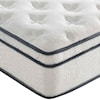 Modway Jenna 10" Twin XL Mattress