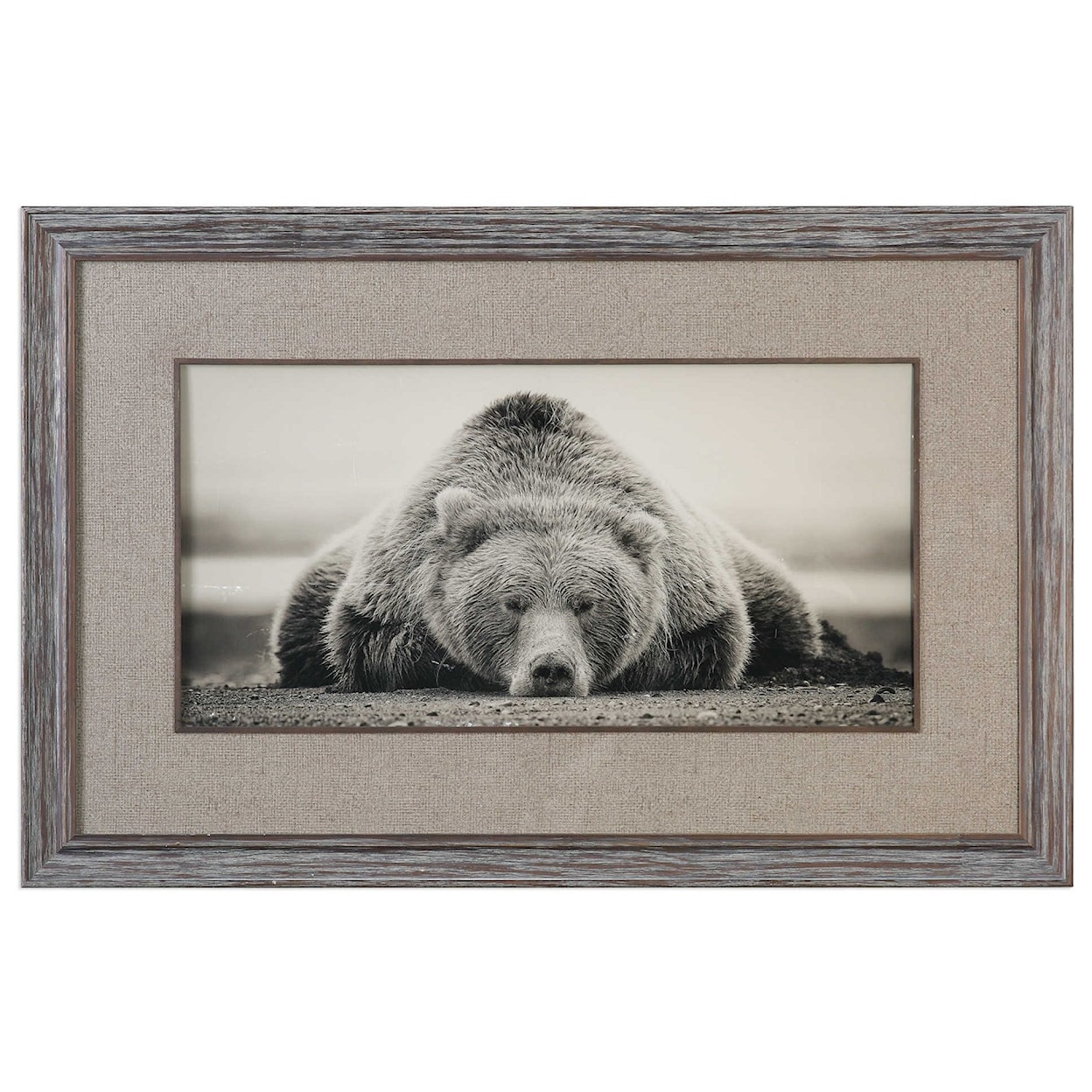 Uttermost Framed Prints Deep Sleep Bear Print