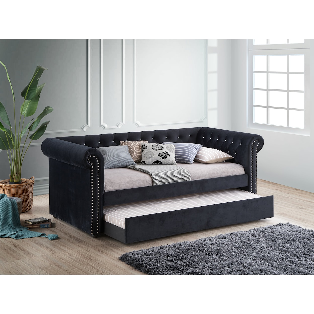 CM Ellie Daybed