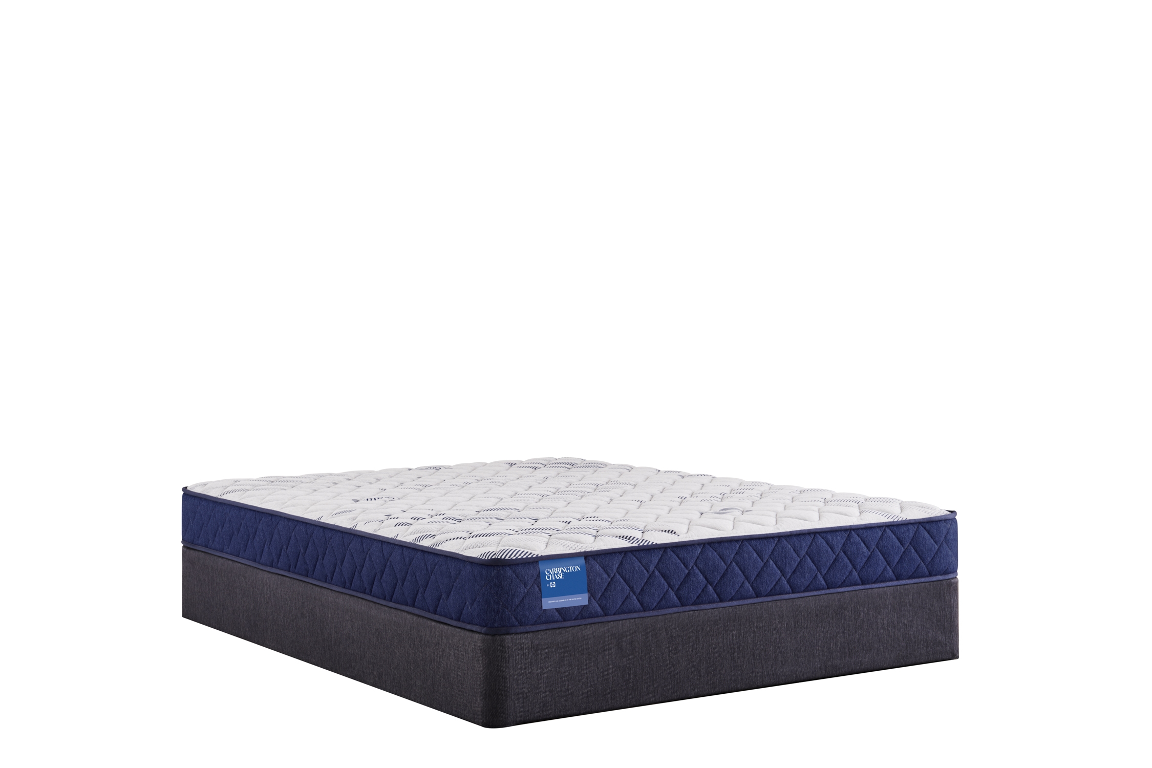 Resting Manor Foam Tight Top Twin Long