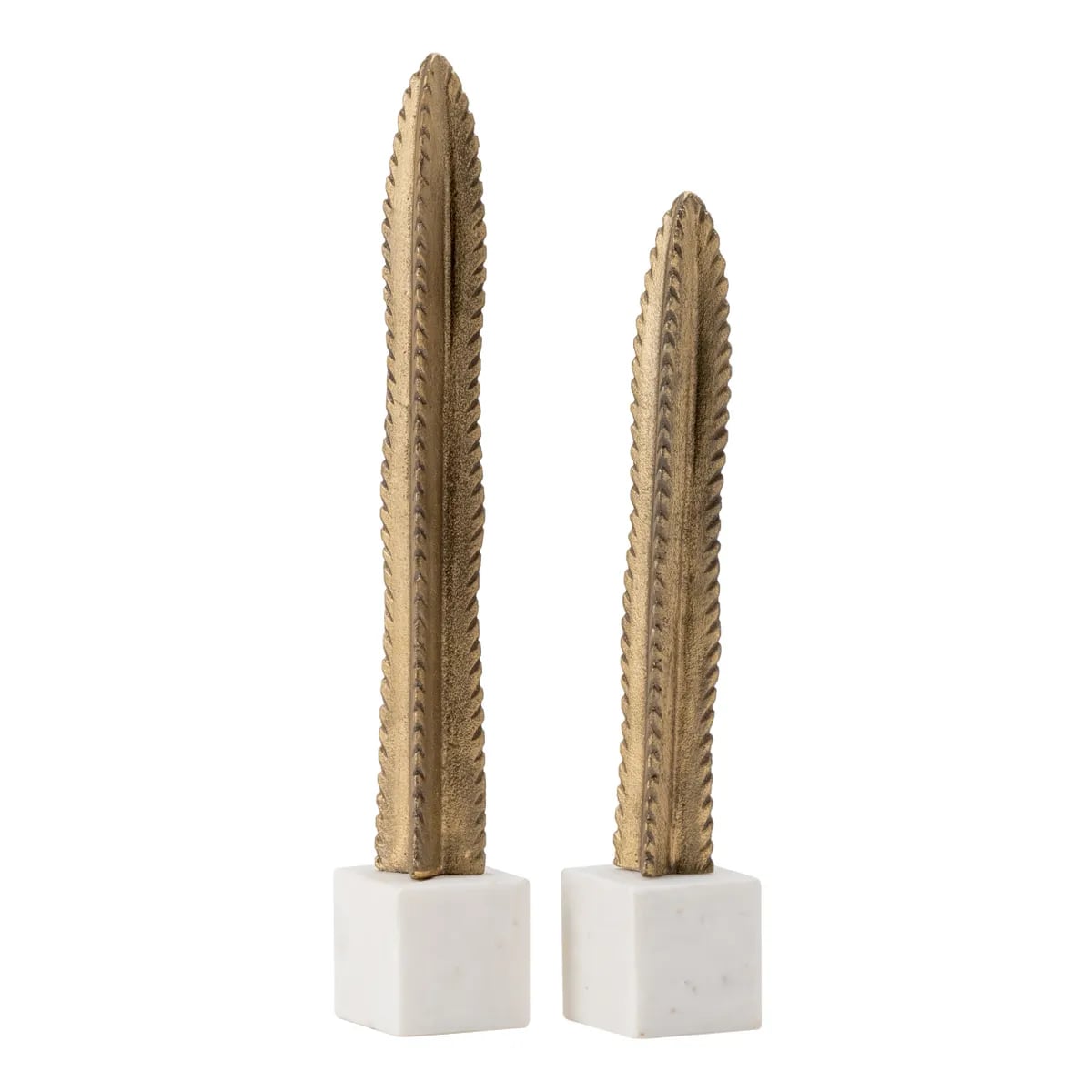 Collection Thumbnail