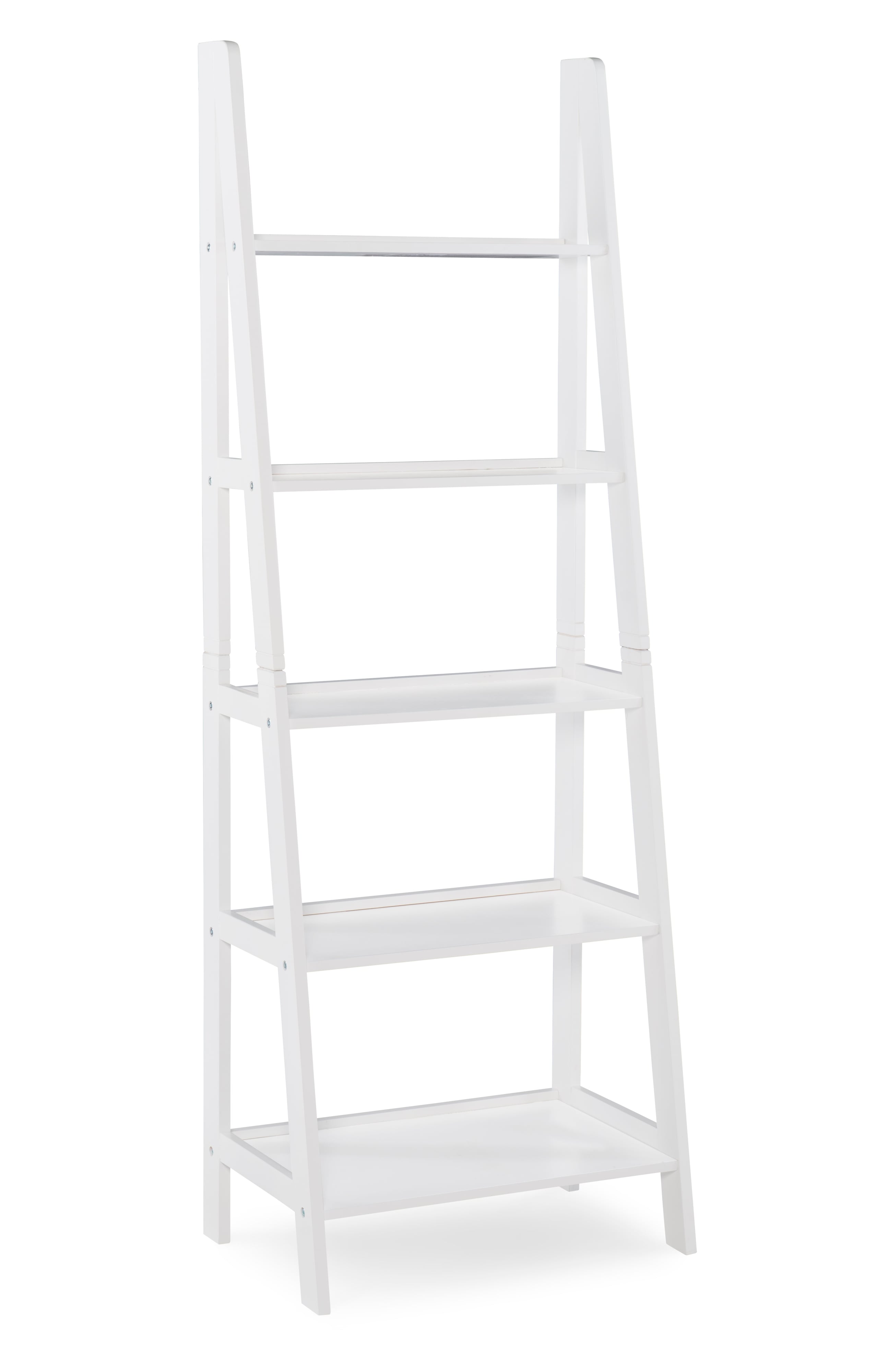 Ladder Bookshelf