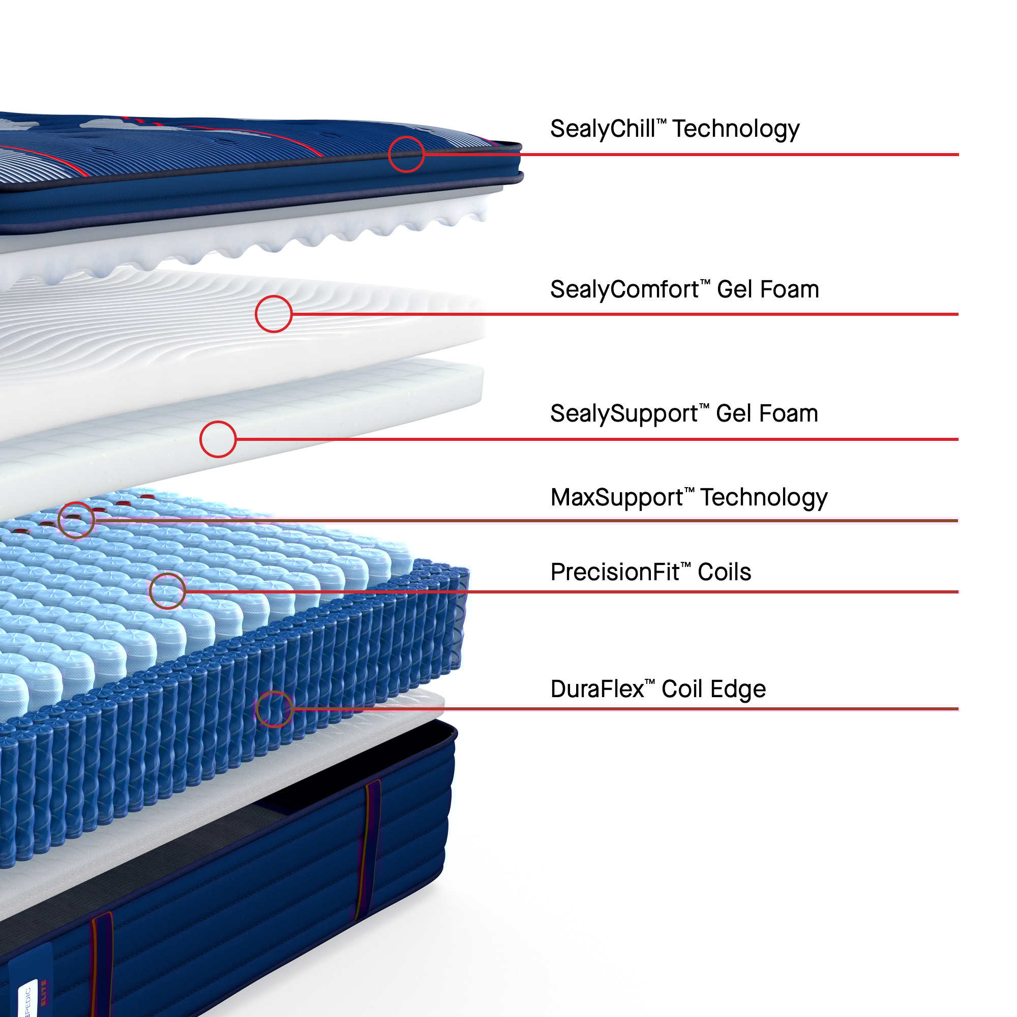Albany II Euro Pillow Top Soft Queen