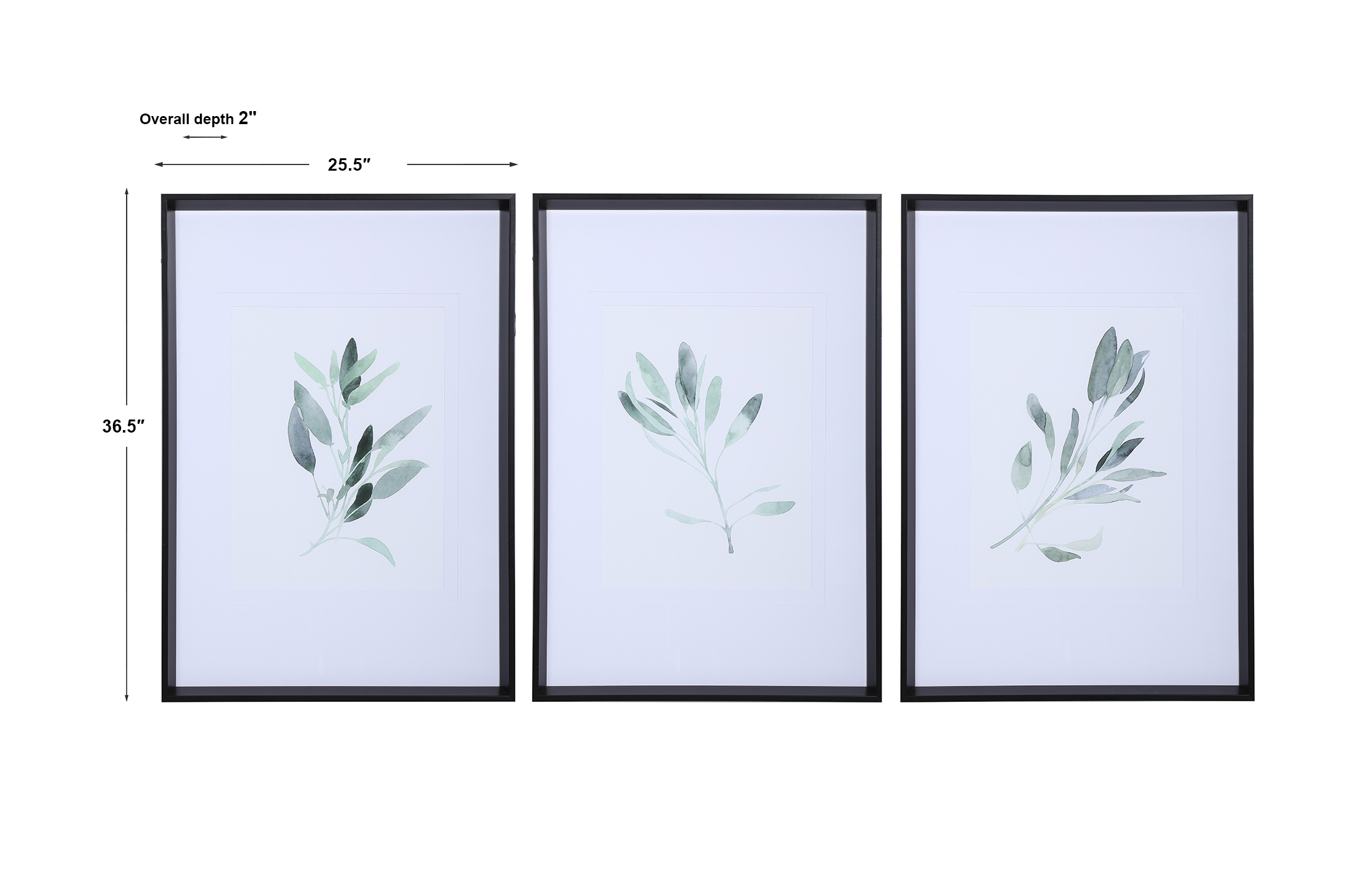 Uttermost Simple Sage Simple Sage Watercolor Prints S/3