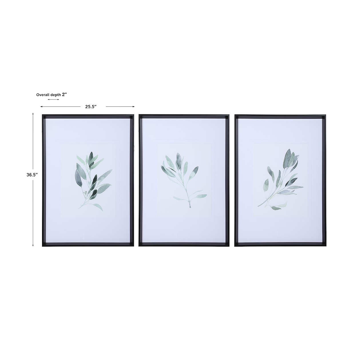 Uttermost Simple Sage Simple Sage Watercolor Prints S/3