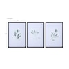 Uttermost Simple Sage Simple Sage Watercolor Prints S/3