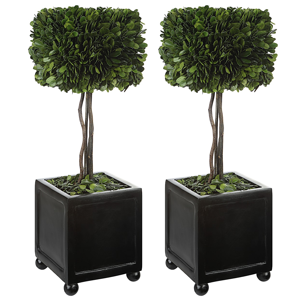 Uttermost Preserved Boxwood Preserved Boxwood Square Topiaries S/2