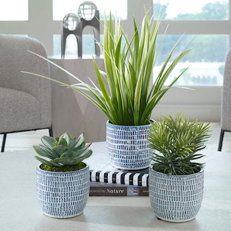 Puebla Greenery In Blue &amp; White Pots S/3