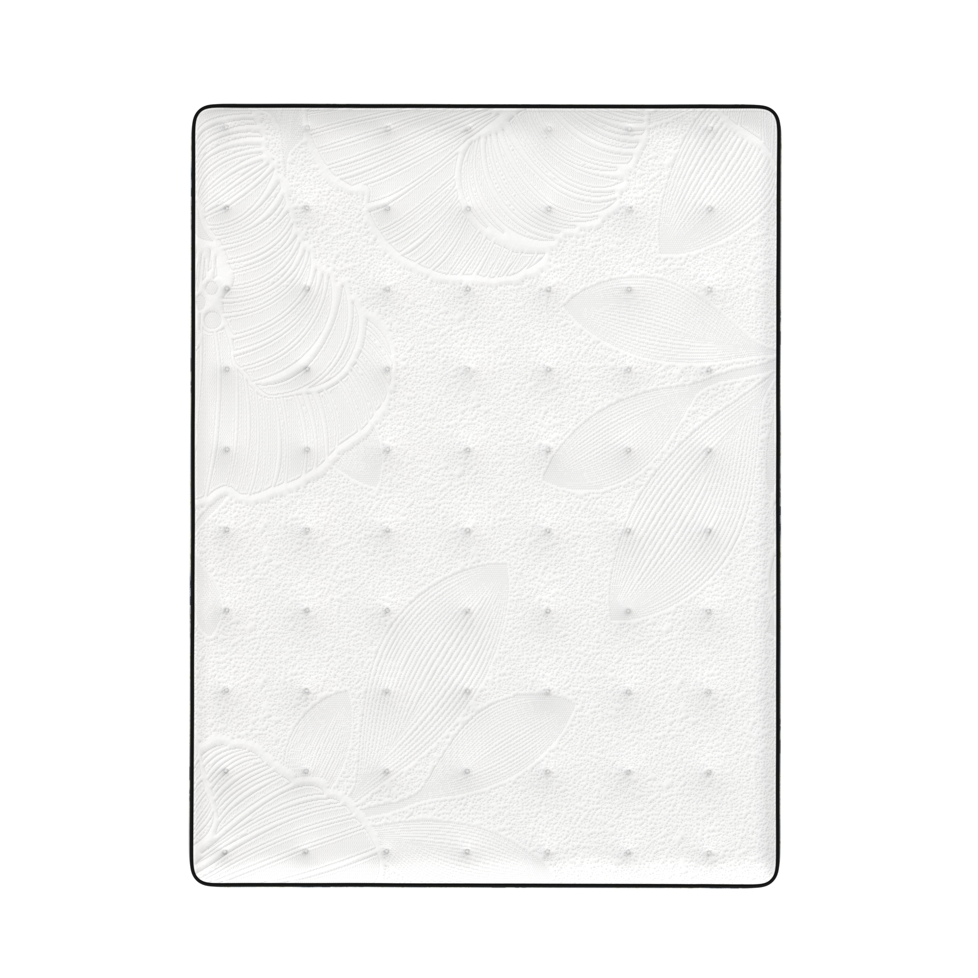 Twin Belladonna Firm