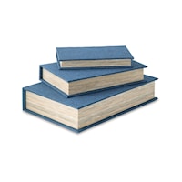 Faux Books Box Set (Set of 3)