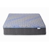 Jamison Bedding Autograph Chandler Springs Firm CHANDLER SPRINGS FIRM QUEEN | MATTRESS