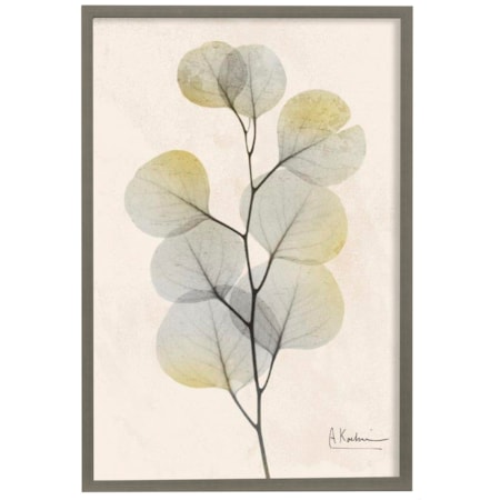 Sunkissed Eucalyptus IV