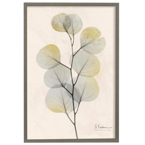 Sunkissed Eucalyptus IV