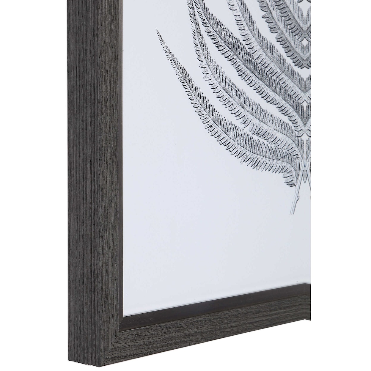 Uttermost Framed Prints Silver Ferns Framed Prints, S/2