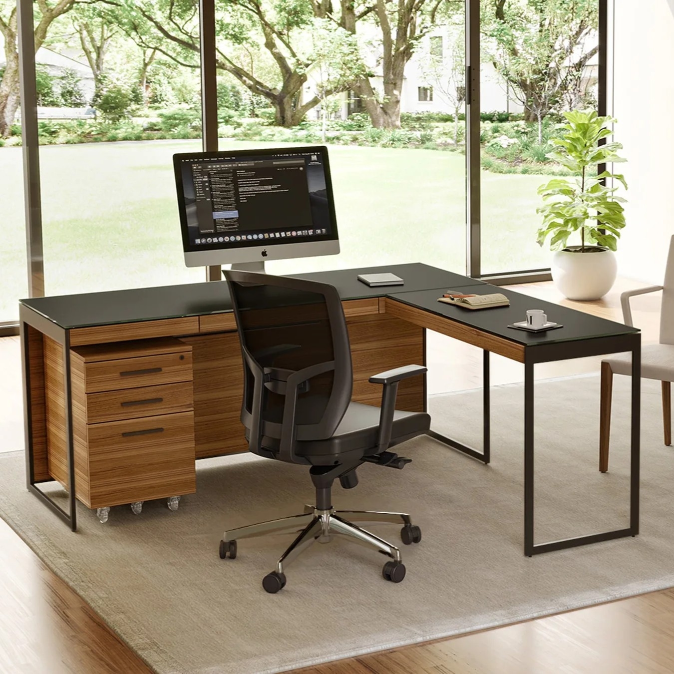 Collection Thumbnail