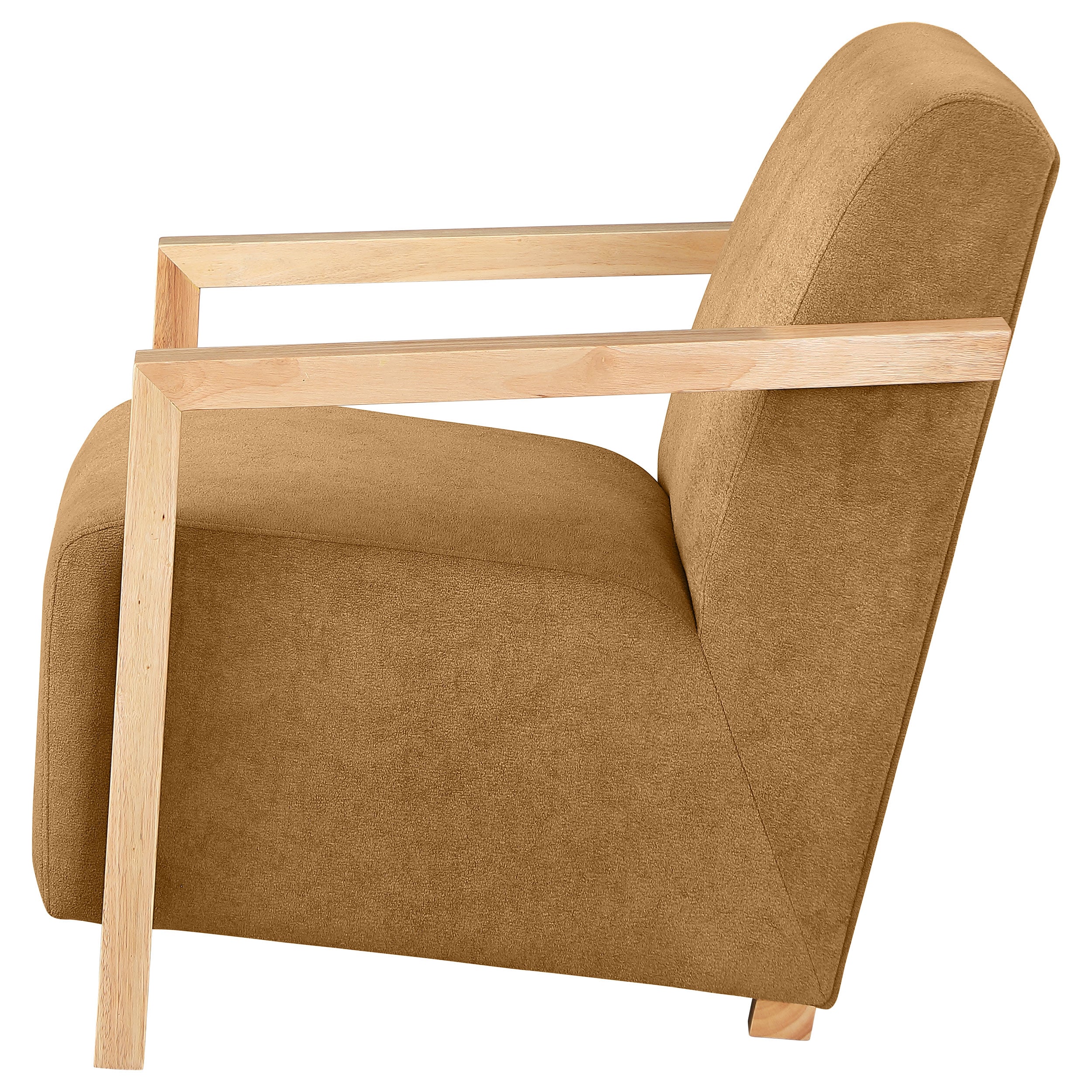 Diego Accent Arm Chair w/ Wood Arms