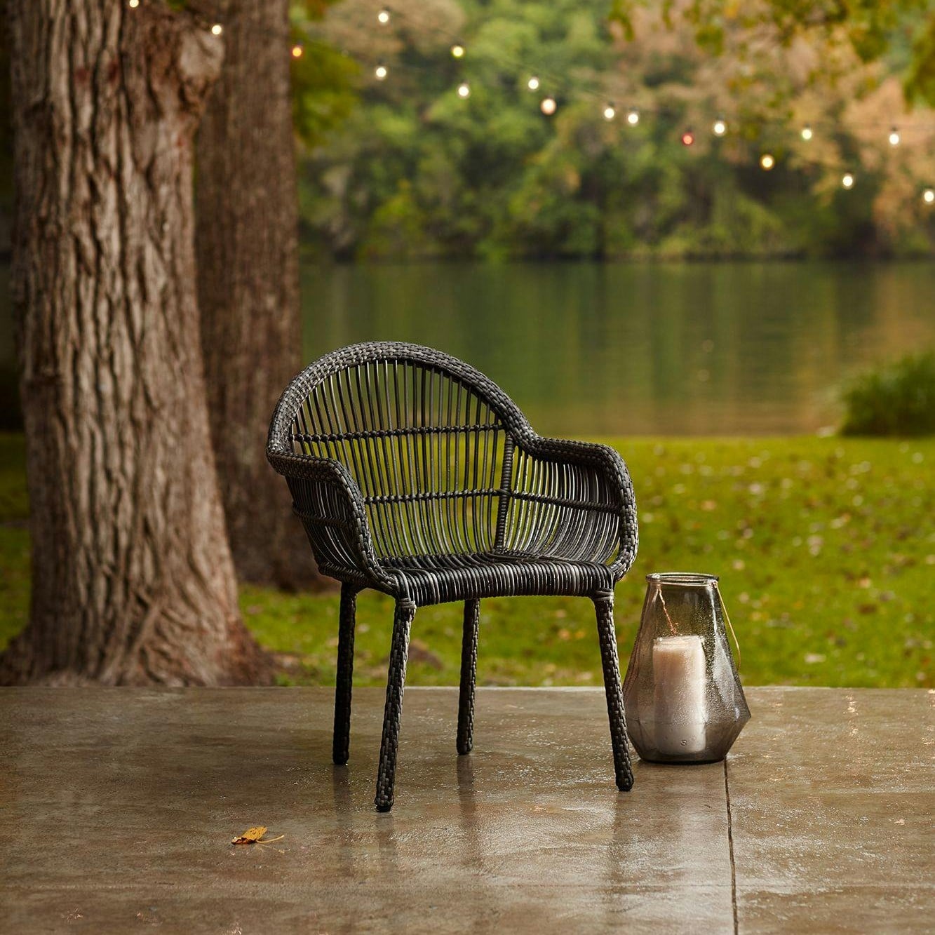 Collection Thumbnail