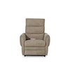 Palliser Fairview Fairview Power Lift Recliner