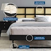 Modway Sidney Queen Platform Bed