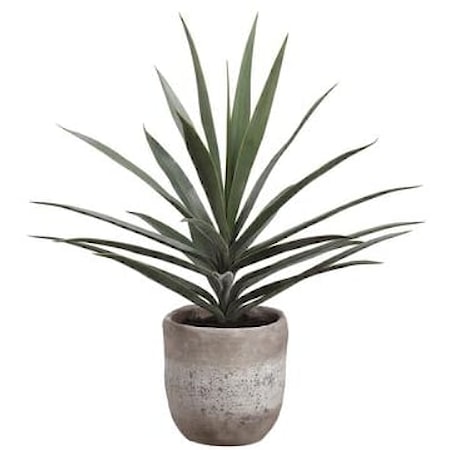 31" YUCCA PLANT IN CEMENT PLANTER