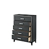 Acme Furniture Haiden Chest