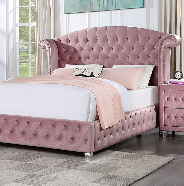 Collection Thumbnail