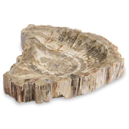 Large Brown Petrified Bowl