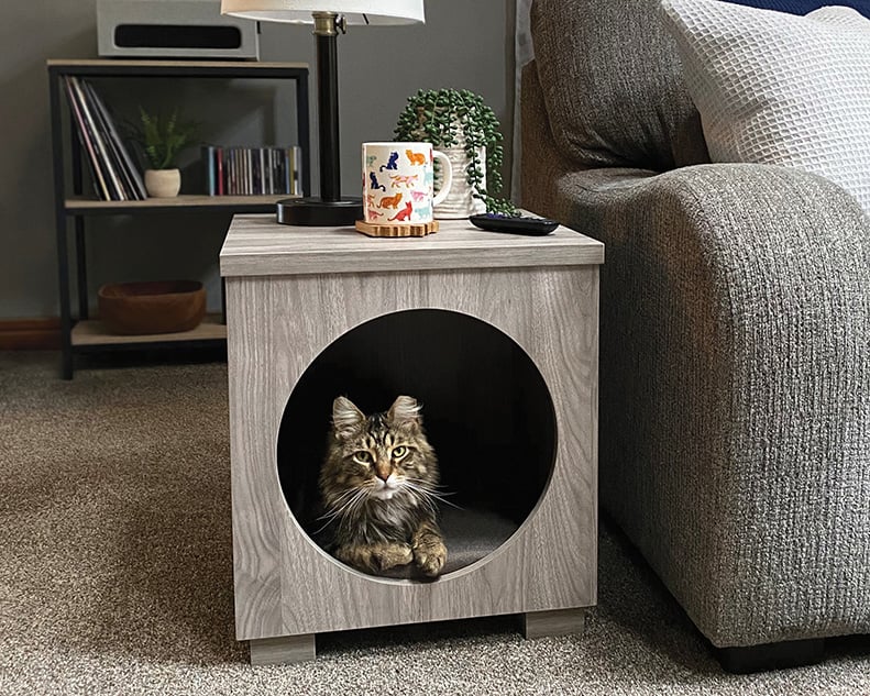 Pet Bed/Side Table