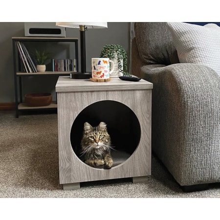 Pet Bed/Side Table