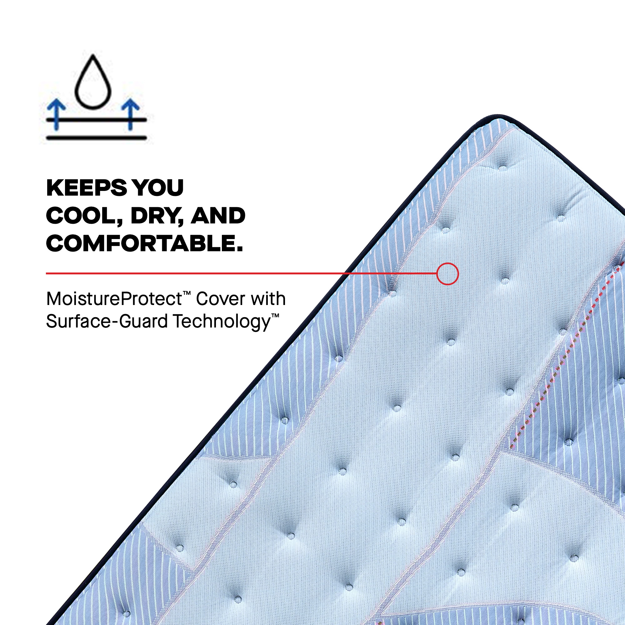 Sealy Posturepedic® Goddard Euro Pillow Top Medium Goddard Euro Pillow Top Medium Full