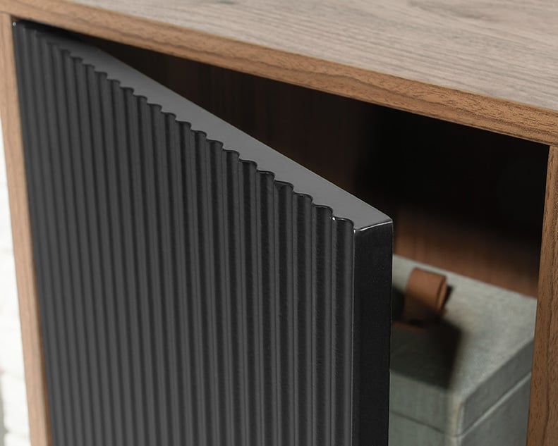 Storage Cabinet with Shelf Storage