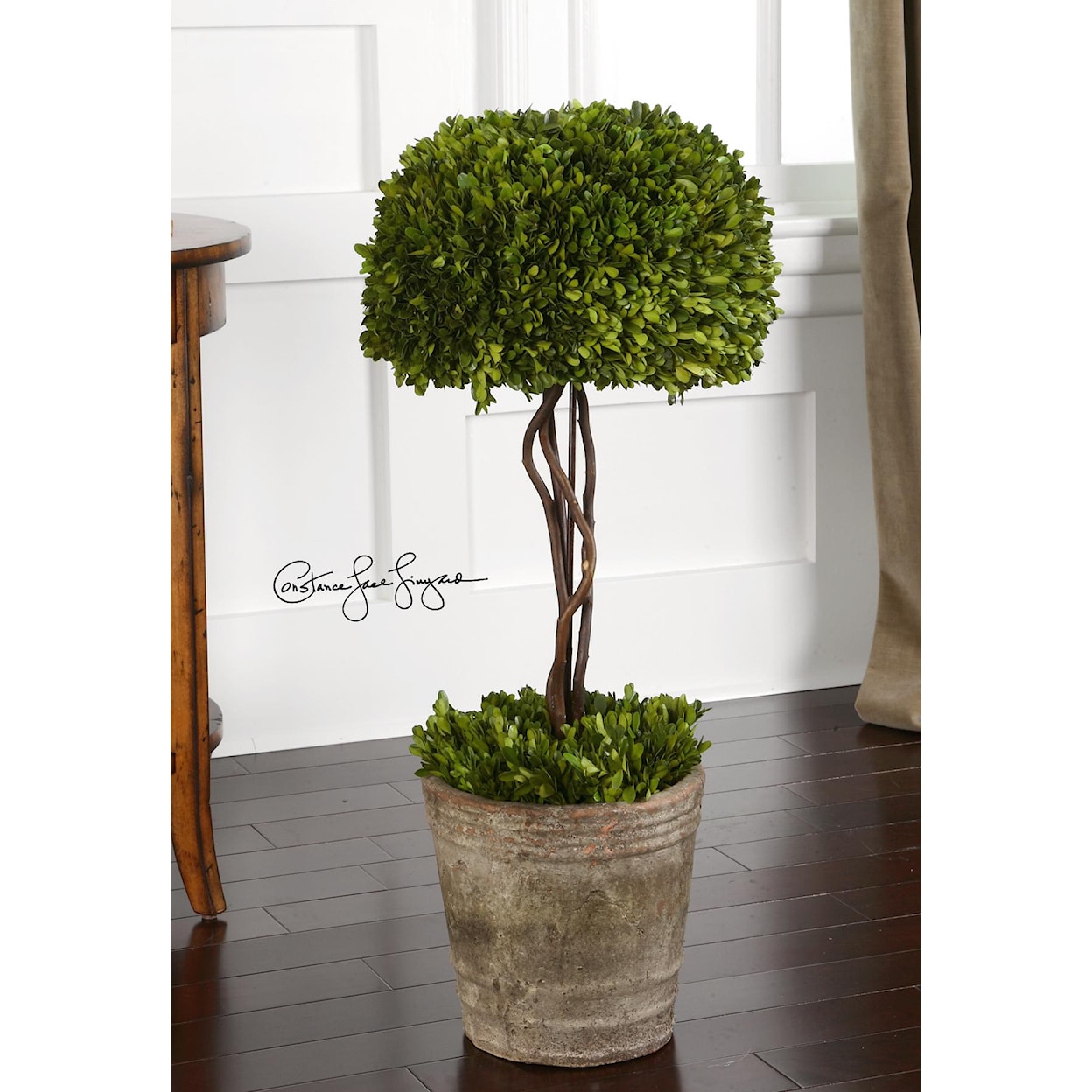 Uttermost Botanicals Preserved Boxwood Tree Topiary