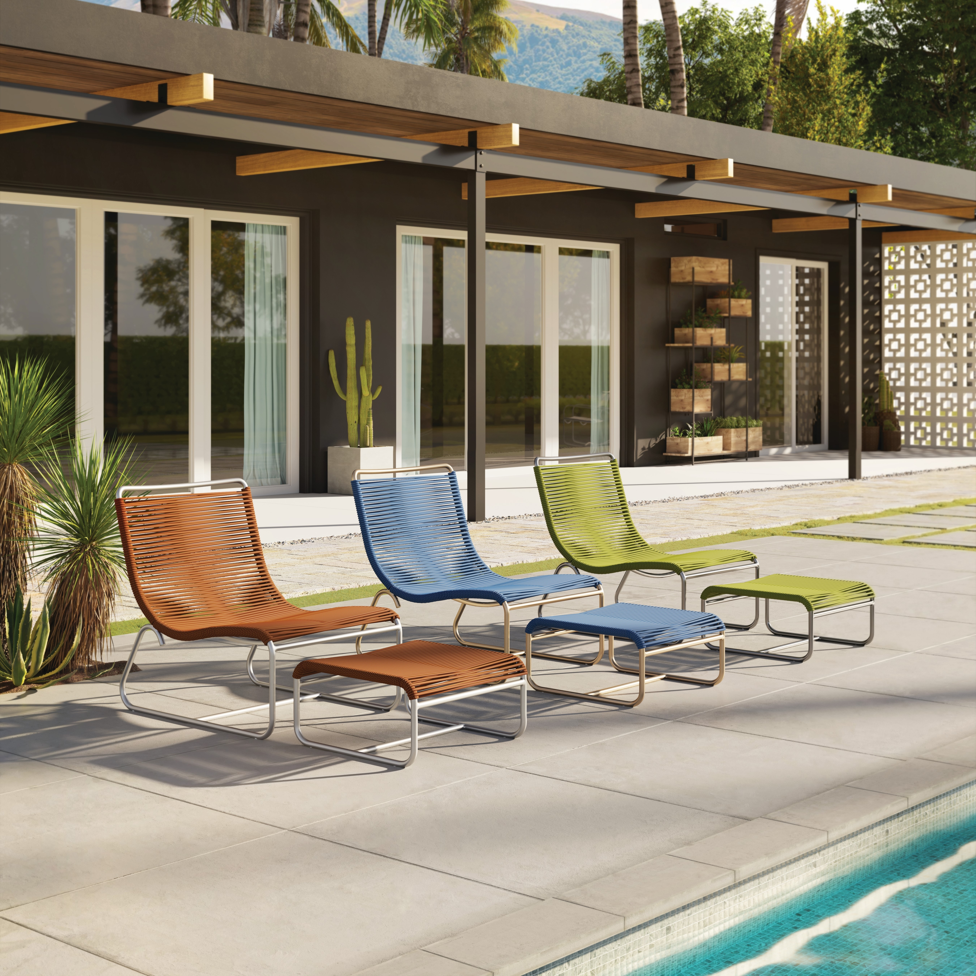 Collection Thumbnail