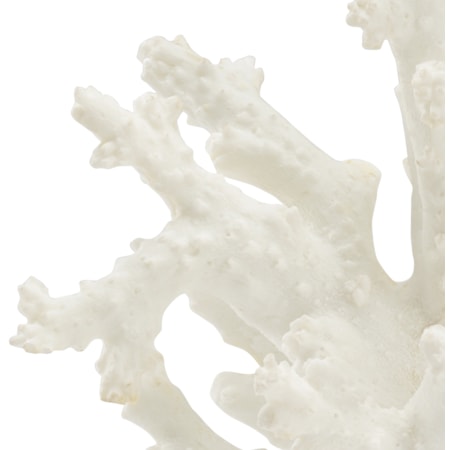 Coral Sculpture