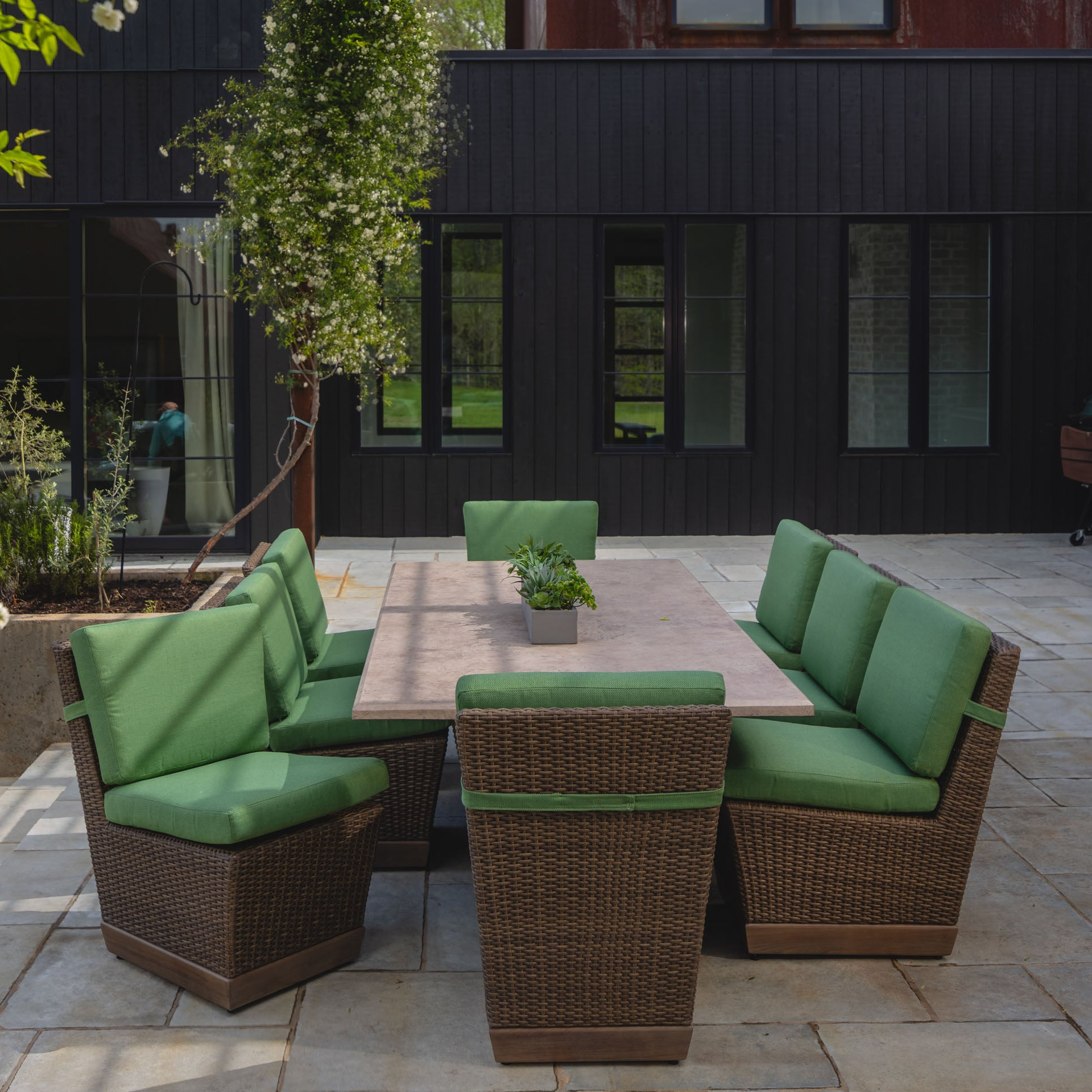 Collection Thumbnail