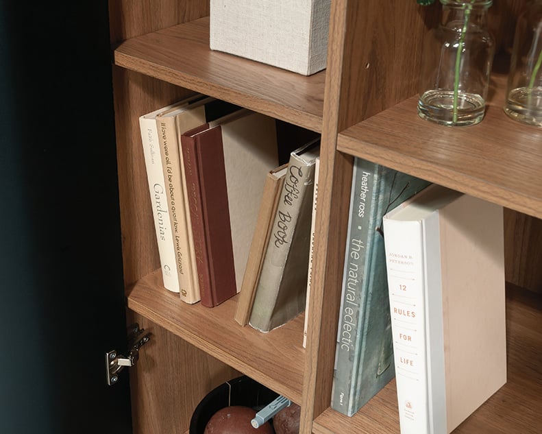 Storage Cabinet with Shelf Storage