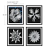 Uttermost Contemporary Floret Contemporary Floret Framed Prints S/4