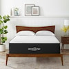 Modway Aveline 16" Memory Foam Queen Mattress