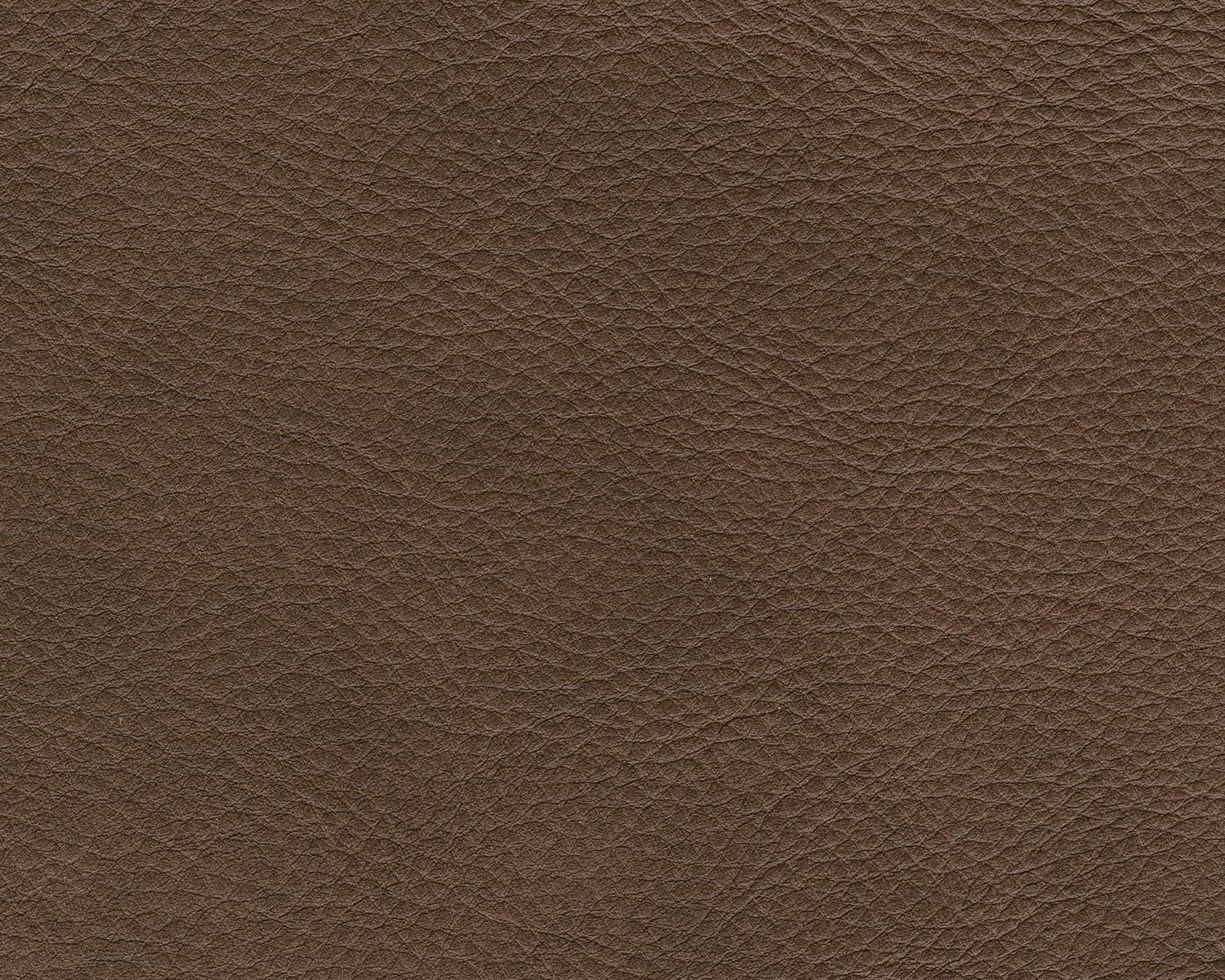 Signature Design by Ashley Kiessel 27602S2 100 TopGrain Leather 2