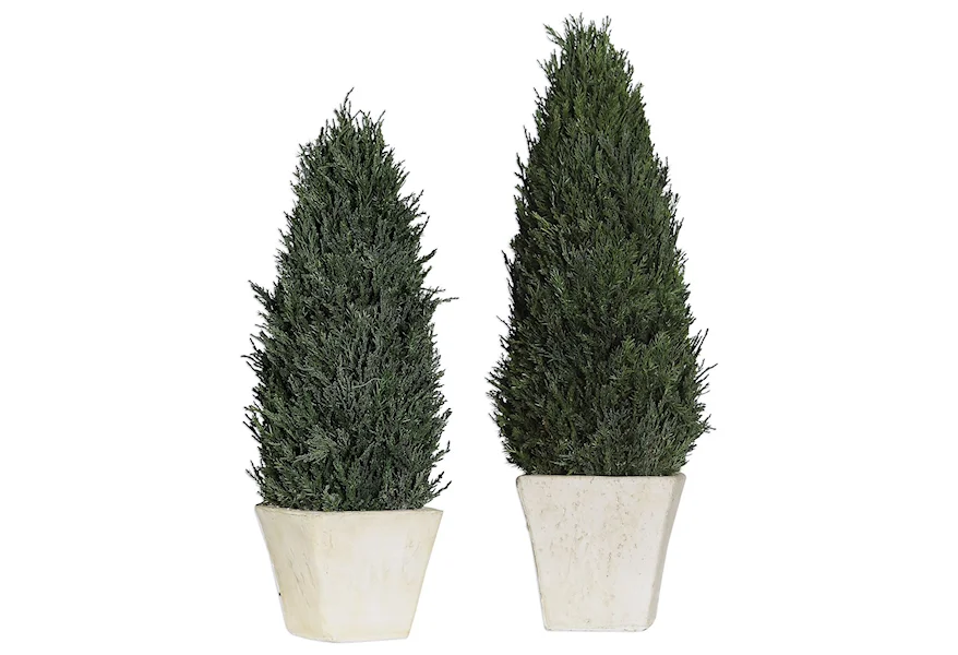 Accessories Cypress Cone Topiaries, S/2 by Uttermost at Del Sol Furniture