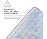 Sealy Posturepedic® Plus Hagerstown EPT Firm Hagerstown Euro Pillow Top Firm Full
